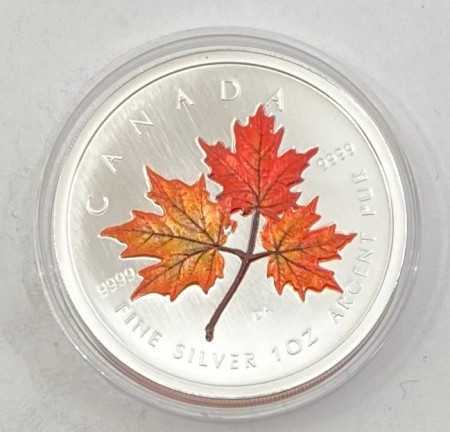 Canada: 5 dollar 2001 - Maple Leaf i farver